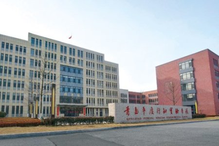 Qingdao Pingdu Xingzhi School