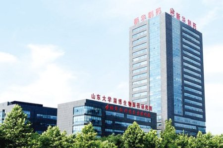 Shandong Xinhua Pharmaceutical